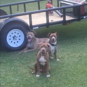 Meet your Posher, Michelle